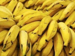 Бананы могут исчезнуть в ближайшие 10 лет. Вообще