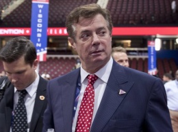 Манафорт и лоббисты из США влияли на решение Конгресса в интересах Януковича - WP