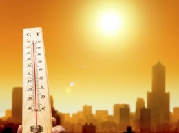 Ученые рассказали, как организм человека работает в жару