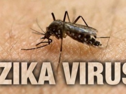 В штате Флорида вирусом Зика больны уже 35 человек