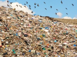 В Крыму не будет мусороперерабатывающих заводов, зато будут новые свалки