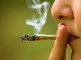 Ученые выяснили, что курение марихуаны по-разному снижает боль