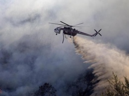 Пожар в Калифорнии уничтожил более 300 домов