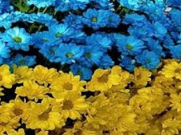 В Мариуполе появятся флаг Украины из цветом