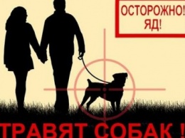 Осторожно! В Славянске травят собак!