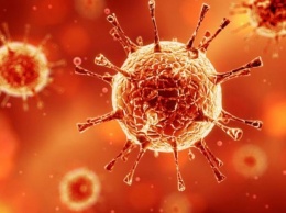 Китайские ученые создали 15-минутный тест на вирус MERS