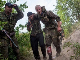 Боевики ДНР жалуются, что их сливают - Бочкала