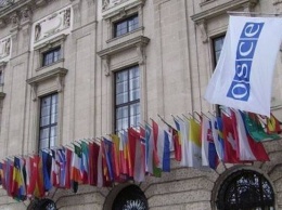 По Украине новым спецпредставителем ОБСЕ стал австриец