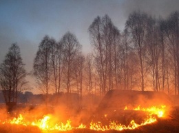 Возле Львова произошел масштабный пожар