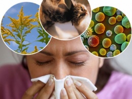 Британские ученые выявили происхождение аллергии