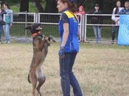 Собака-спасатель из Павлограда едет в Италию