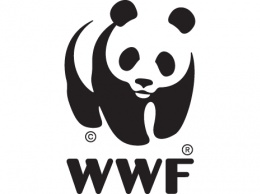 WWF заявляет, что человечество истратило 100% мировых ресурсов