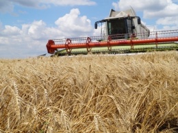 Одесская область стала лидером по уборке урожая: аграрии собрали 3,8 миллионов тонн зерна