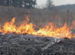 За сутки в Одесской области произошло 46 пожаров в полях: уничтожено 28 га сухой травы