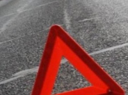 В Ростовской области в ДТП с микроавтобусом погиб один человек