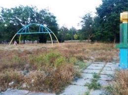 "Все заросло травой, колючками, везде мусор - парком трудно назвать", - херсонка о Шуменском парке (фото)