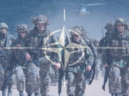 На Черниговщине нашли место для базирования подразделения НАТО