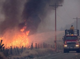 В США из-за лесных пожаров объявили чрезвычайное положение