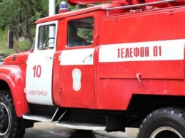 Житель Новосибирска расстрелял из обреза пожарных, приехавших тушить его дом