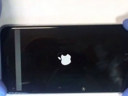 IPhone 6 и iPhone 6 Plus имеют проблемы со своими дисплеями