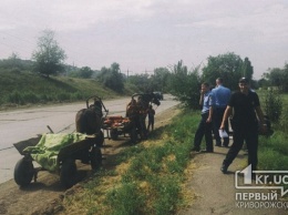 Готовы «землю грызть» ради наживы: в Кривом Роге сборщики металлолома повредили асфальт