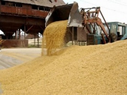 Полиция Геническа открыла уголовное дело по факту кражи имущества с зернотока