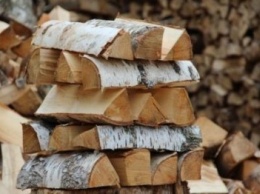 Власти заверили крымчан, дров на зиму хватит всем, и рассказали о ценах