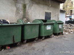 В Симферополе вандалы за месяц сжигают 20 мусорных контейнеров