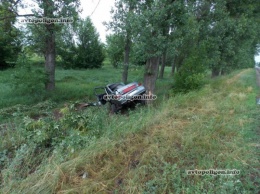 ДТП на Полтавщине: ВАЗ-2110 врезался в дерево - водитель погиб. ФОТО