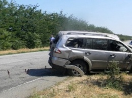 В Херсонской области автомобиль «Mitsubishi» слетел в кювет