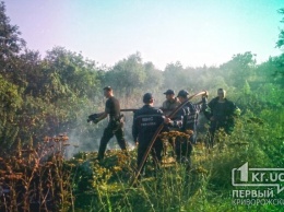 Многофункциональный полицейский. В Кривом Роге патрульный помог спасателям потушить пожар