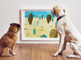В Лондоне прошла первая в мире художественная выставка для собак