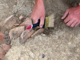 Археологи нашли древнее место захоронения казненных людей