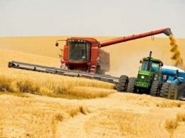 Более половины урожая в Черниговской области уже собрано