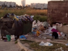 Сколько херсонцам еще терпеть зловоние неубранного мусора