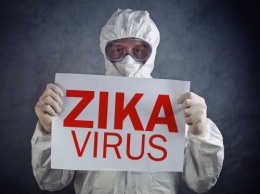 Пять городов США получат по 2,4 миллионов долларов на борьбу с вирусом Зика