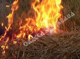 За сутки на территории Одесской области выгорело 15 гектаров сухой растительности