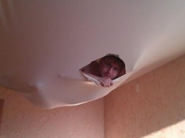 В коммунальной квартире Санкт-Петербурга сотрудники ЖКС заделали сквозную дыру в потолке фанерой