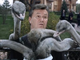 В сети продают чехлы со "страусами" Януковича