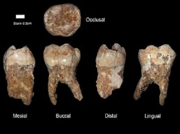 Ученые изучили пищевой рацион людей, живших 400 тысяч лет назад