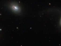 «Хаббл» сделал фото 16-ой группы галактик из каталога Хиксона