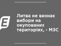 Литва не признает выборы на оккупированных территориях - МИД