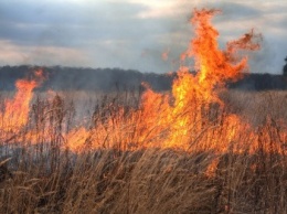 В Покровском (Крансоармейском) районе сгорело 3 гектара сухой травы