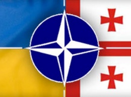 Грузия преподает урок Украине: НАТО вам не поможет