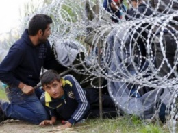Британское правительство оплатит строительство "антимигрантской" стены