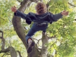 Павлоградский мальчишка, спрыгнув с дерева, оказался в травматологии
