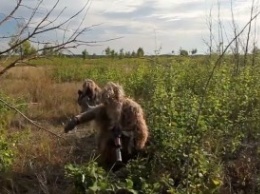 Для них и о них. Сегодня праздник у разведчиков. Волонтеры подготовили яркое видео