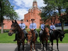 Московская полиция купит для своих лошадей солярии