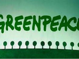 На активистов Greenpeace на Кубани напали неизвестные