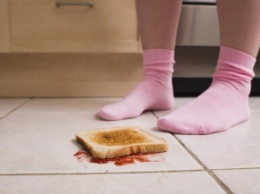 Ученые опровергли «правило пяти секунд» для упавшей еды